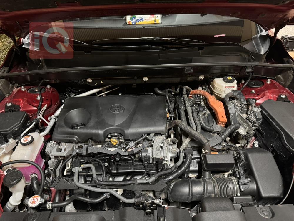 Toyota Venza